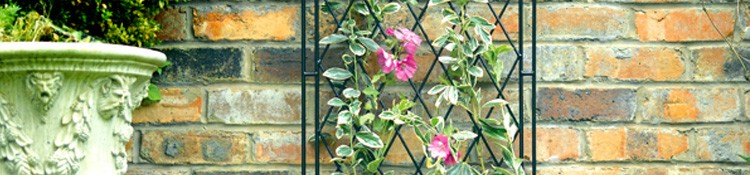 Decorative