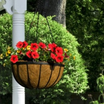 Flat Bar Hanging Basket - 12 Flat Bar Hanging Basket - 12