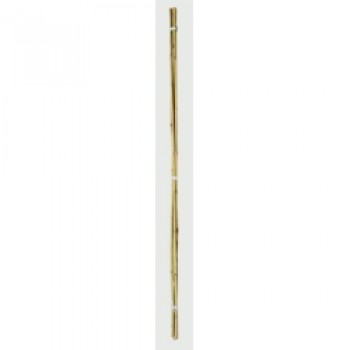Bamboo Canes - 3&rsquo; Pack 20