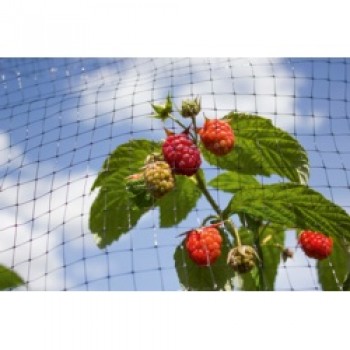 Fruit Cage Net - 16 x 2m