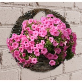 Willow Wall Basket - 16